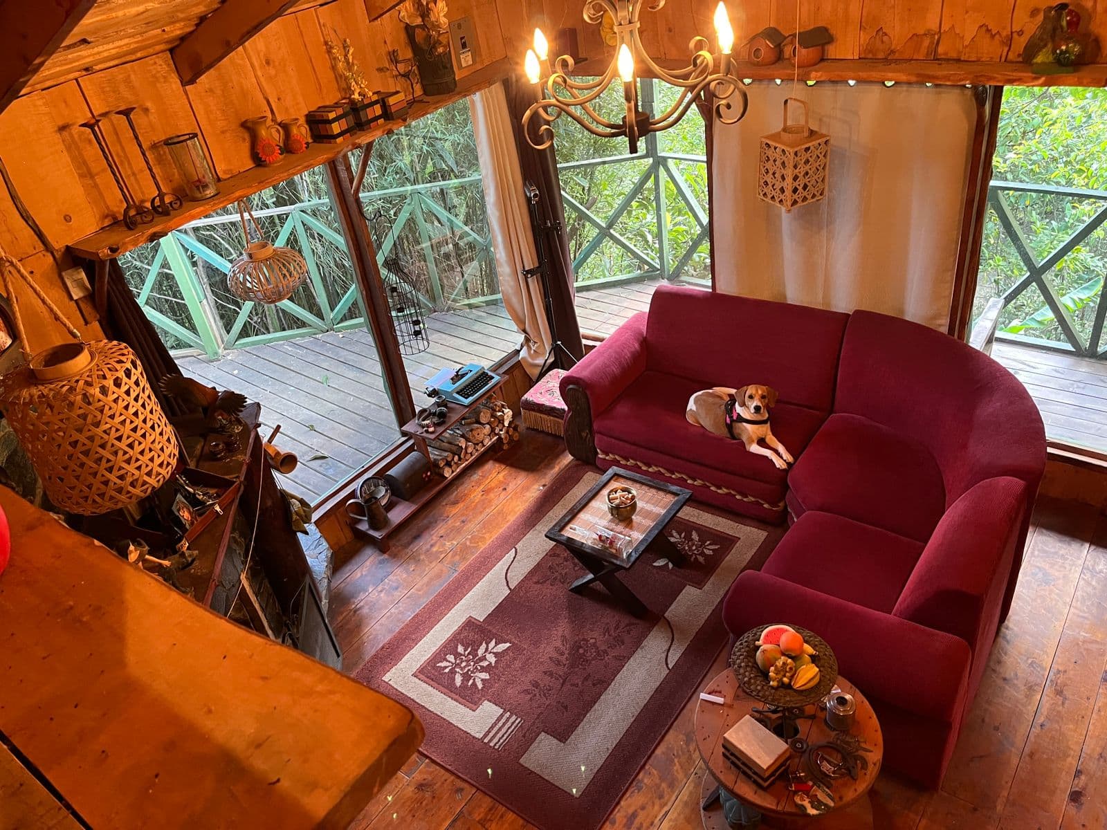 Cabana Acosta Cedral Arriba - Image 4